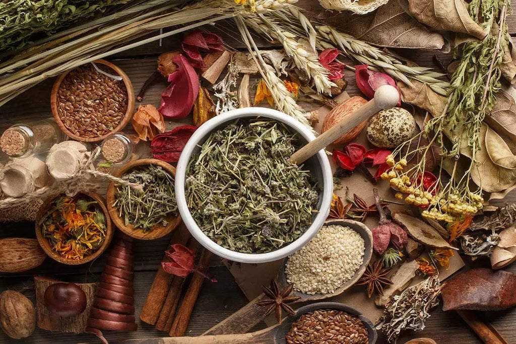 Exploring the Synergy of Herbs and Meditation