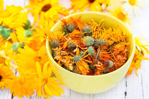 Unveiling the Golden Petals: Calendula's Radiant Path to Meditation and Healing