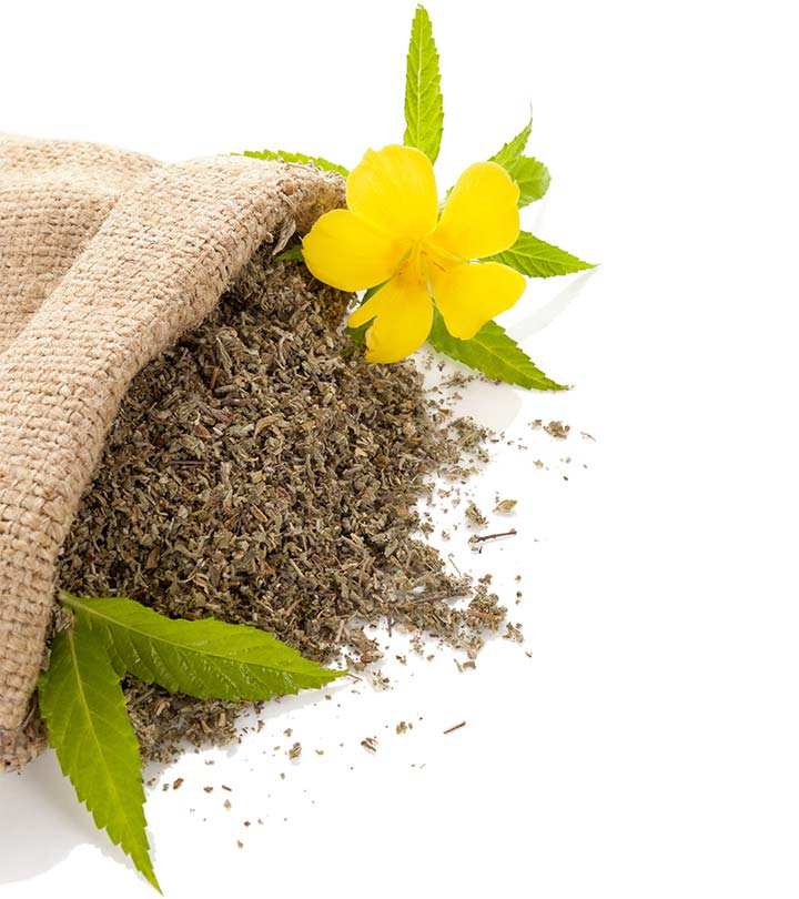 Discovering the Enchanting Benefits of Damiana: Enhancing Your Meditation Practice and Beyond