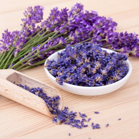 Lavender: Unlocking the Tranquil Power for Meditation and Beyond