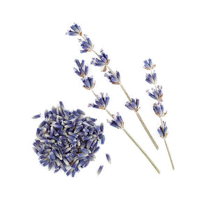 Lavender - Nature's Calming Herb